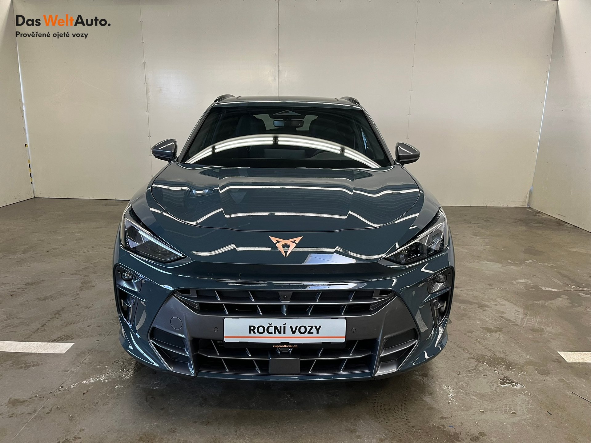 Seat CUPRA CUPRA Terramar
