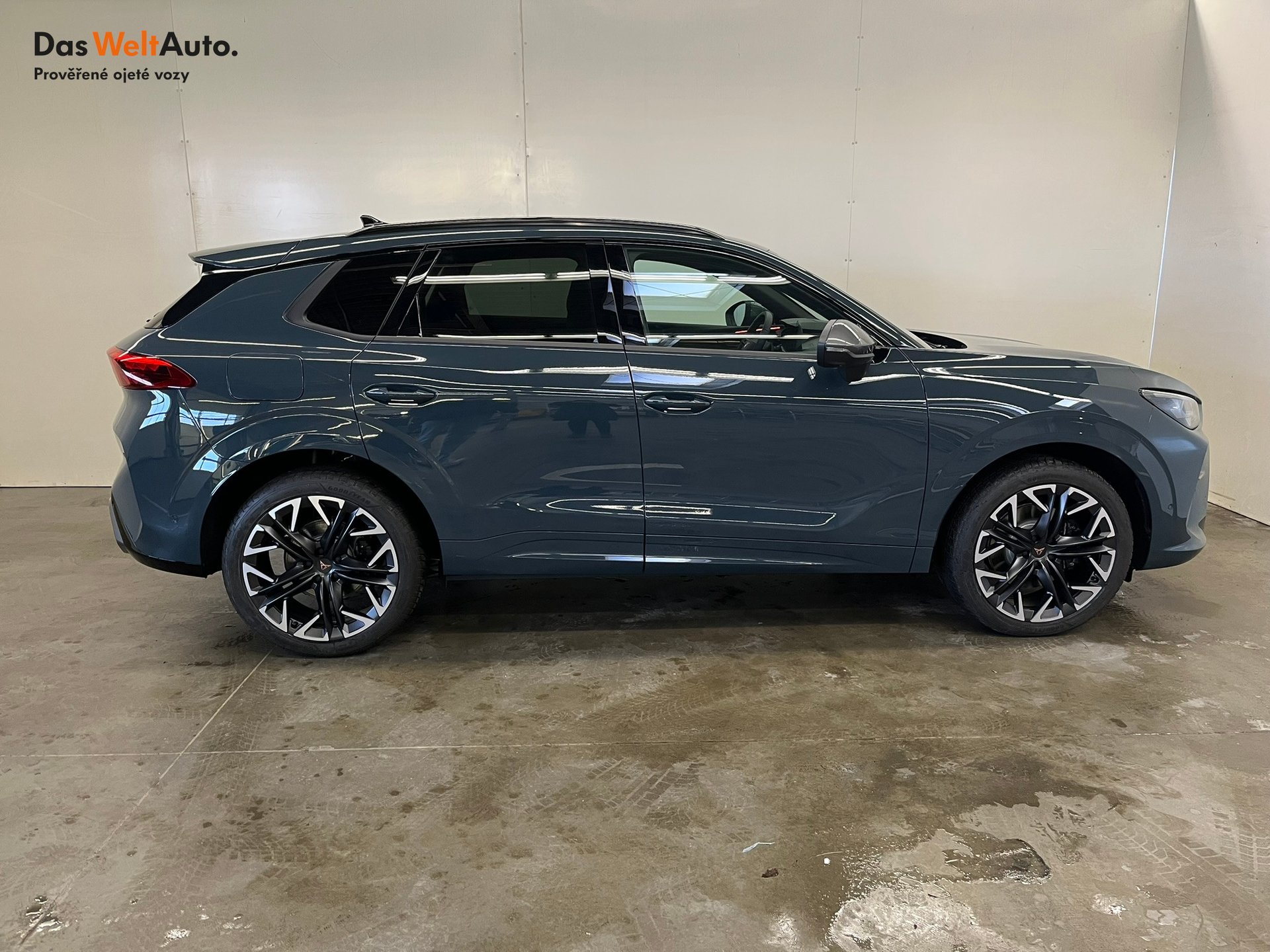 Seat CUPRA CUPRA Terramar