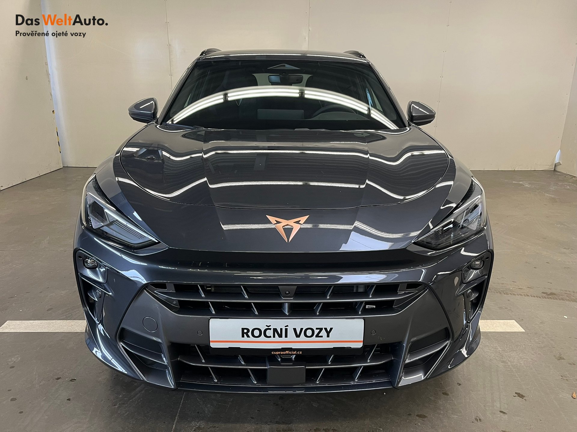 Seat CUPRA CUPRA Terramar