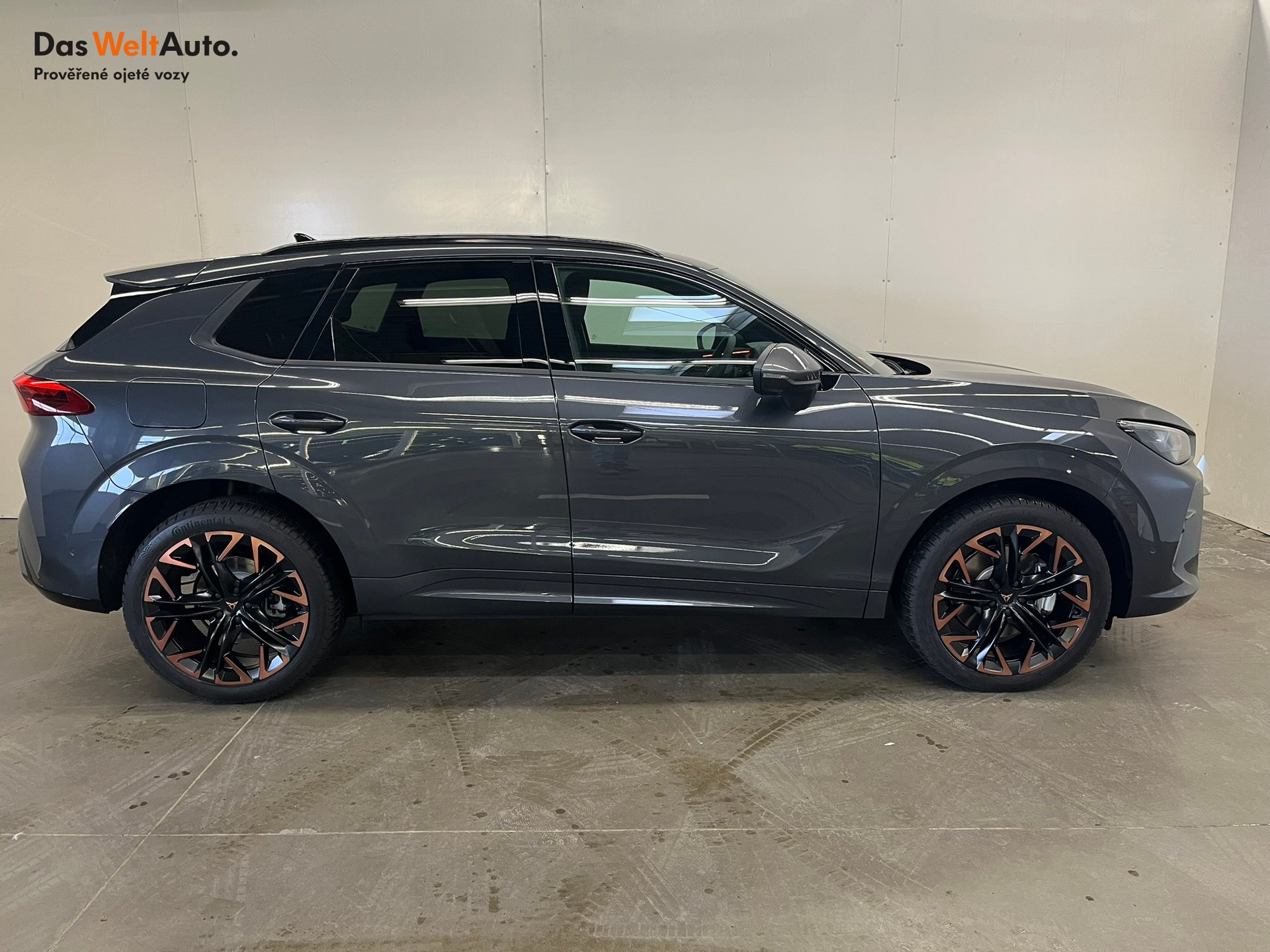 Seat CUPRA CUPRA Terramar