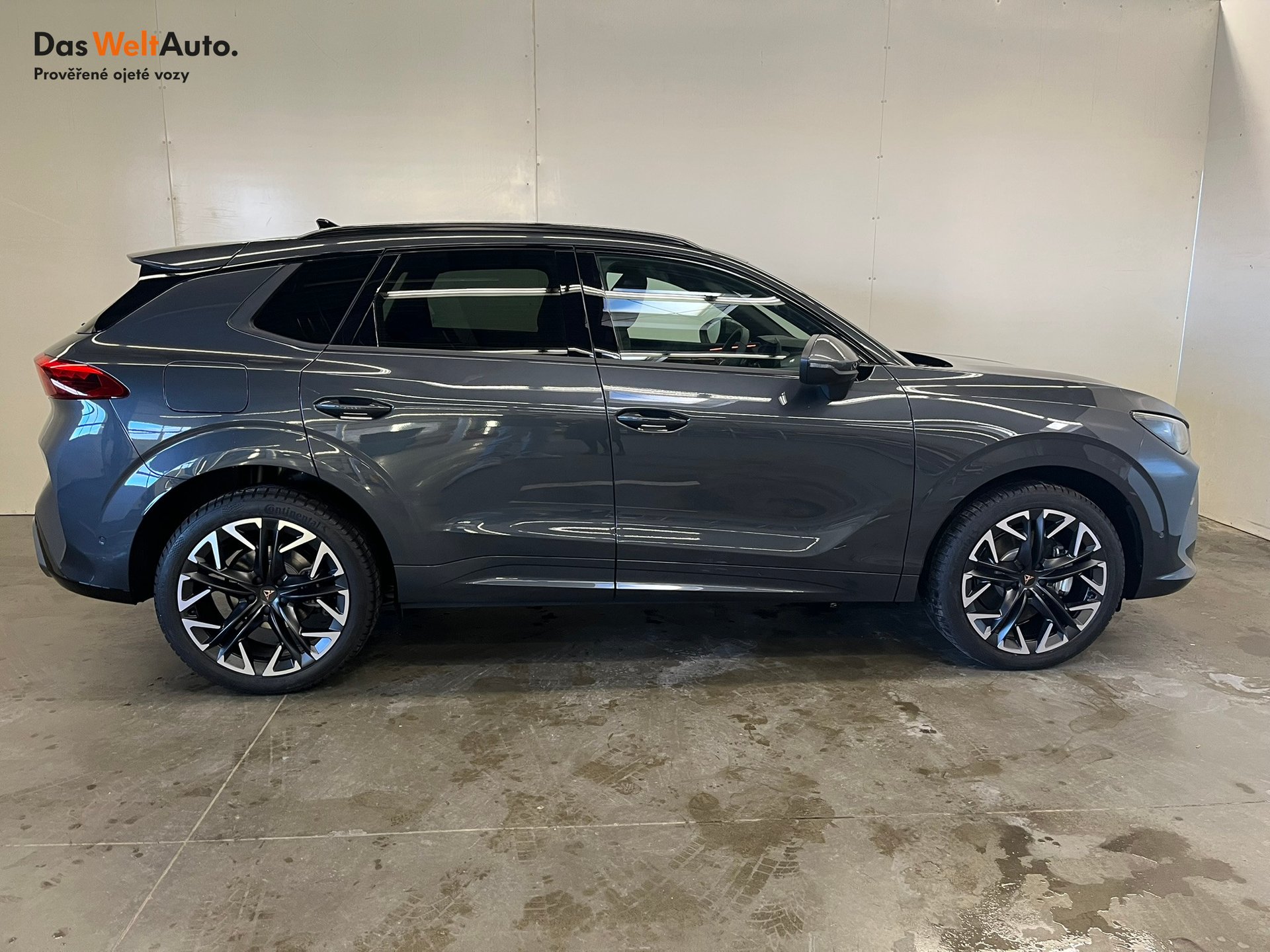 Seat CUPRA CUPRA Terramar