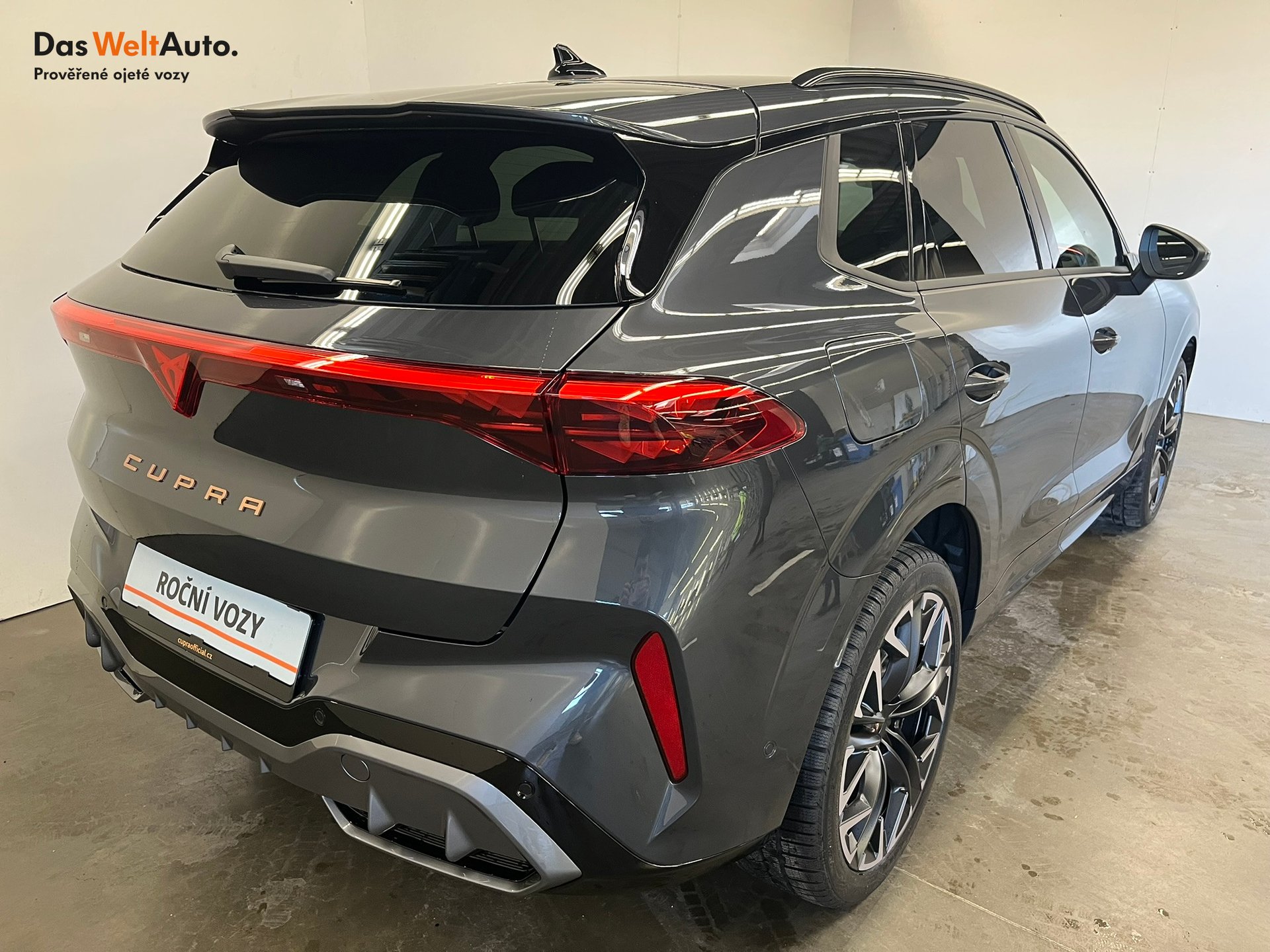 Seat CUPRA CUPRA Terramar