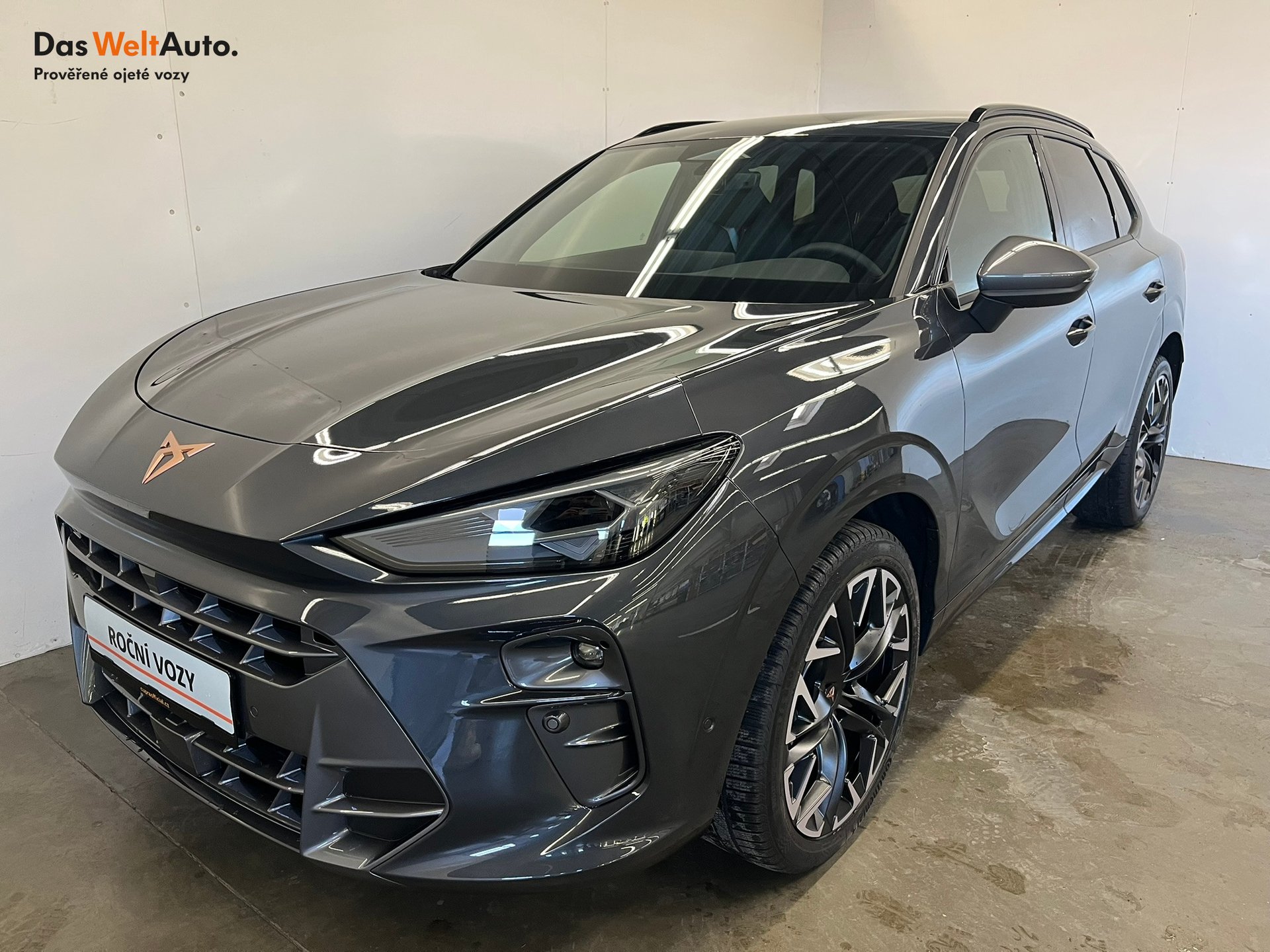 Seat CUPRA CUPRA Terramar