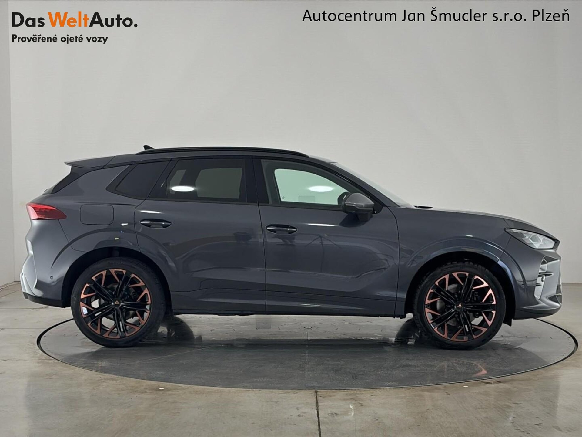 Cupra Terramar