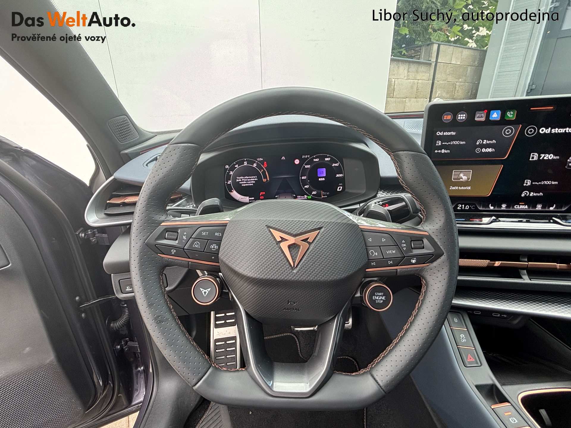 Cupra Terramar