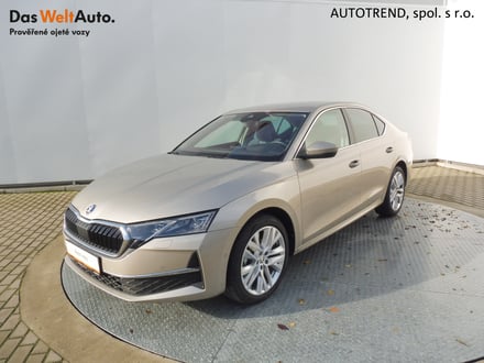 Škoda Octavia Top Selection 2,0 TDI 110kW DSG