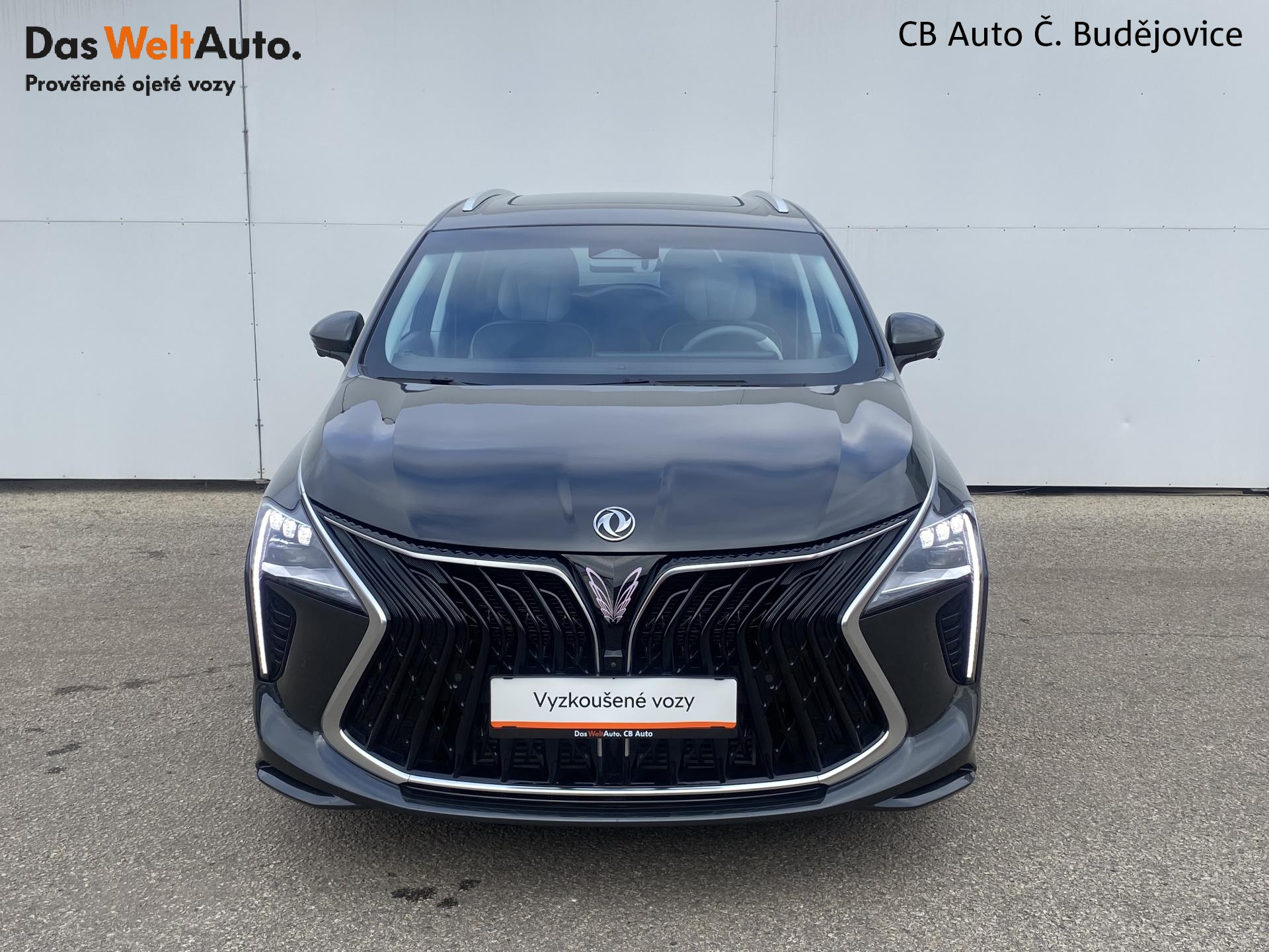 Dongfeng U-Tour