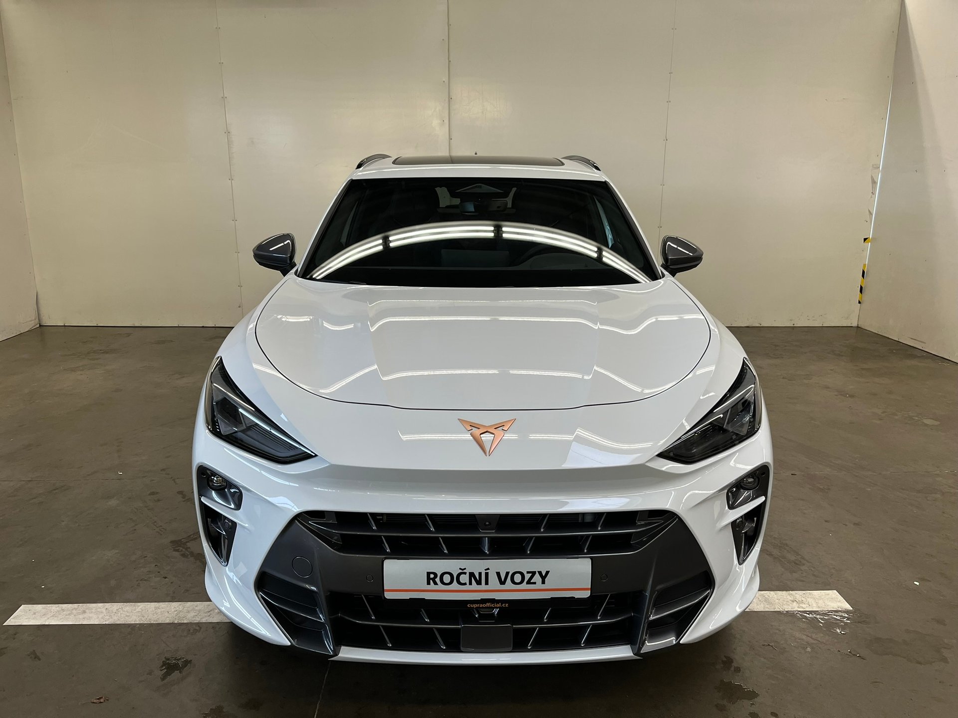 Seat CUPRA CUPRA Terramar