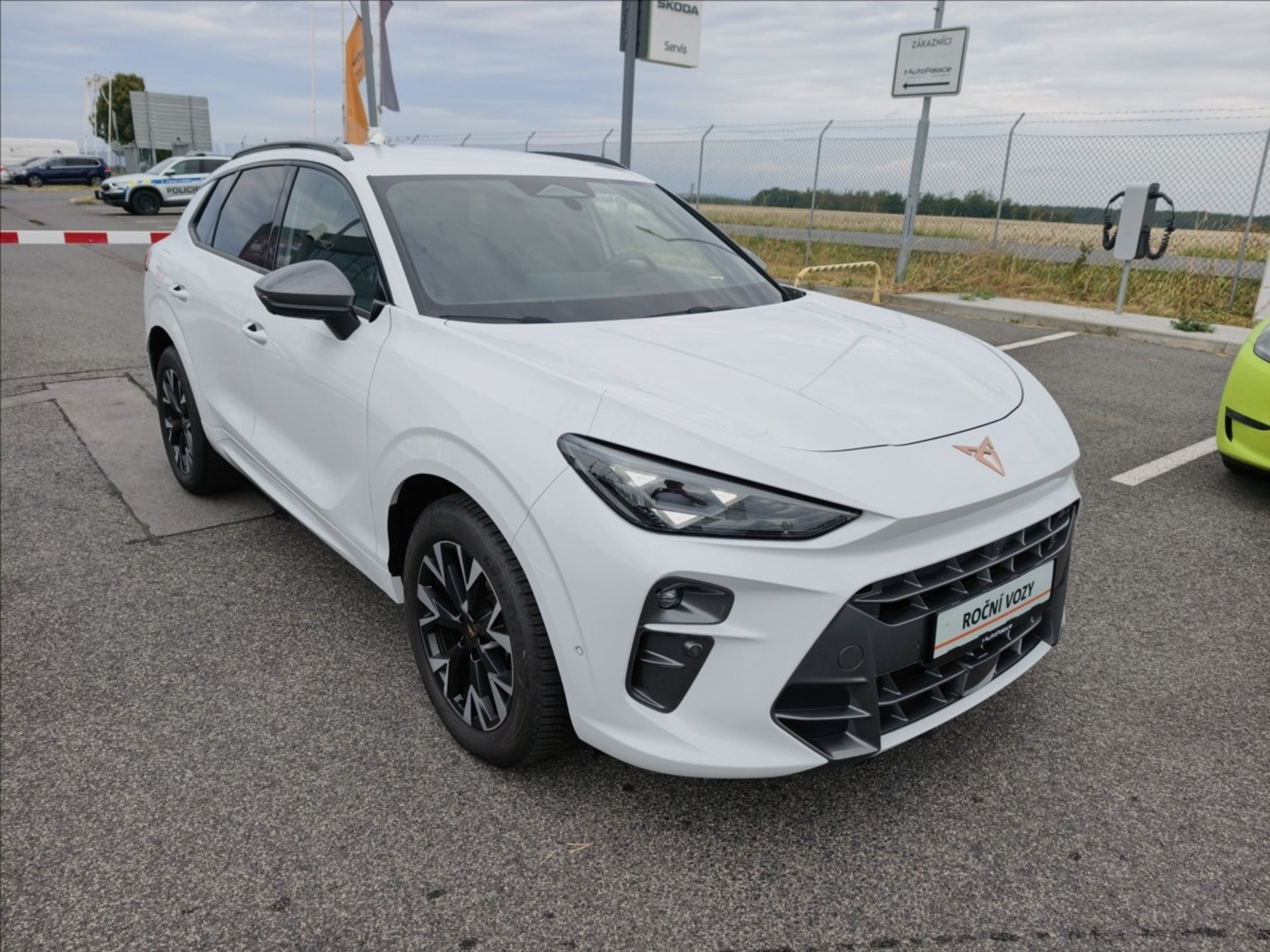 Cupra Terramar