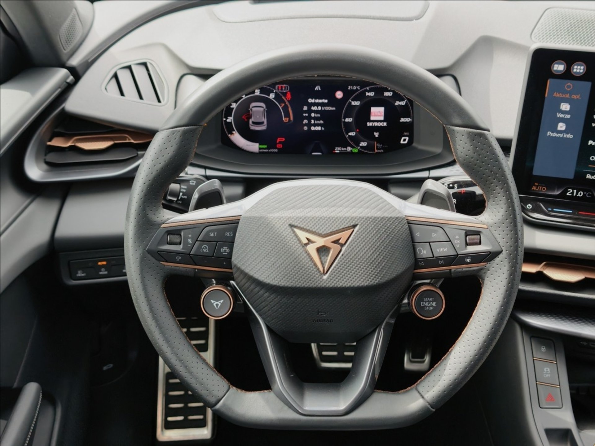 Cupra Terramar