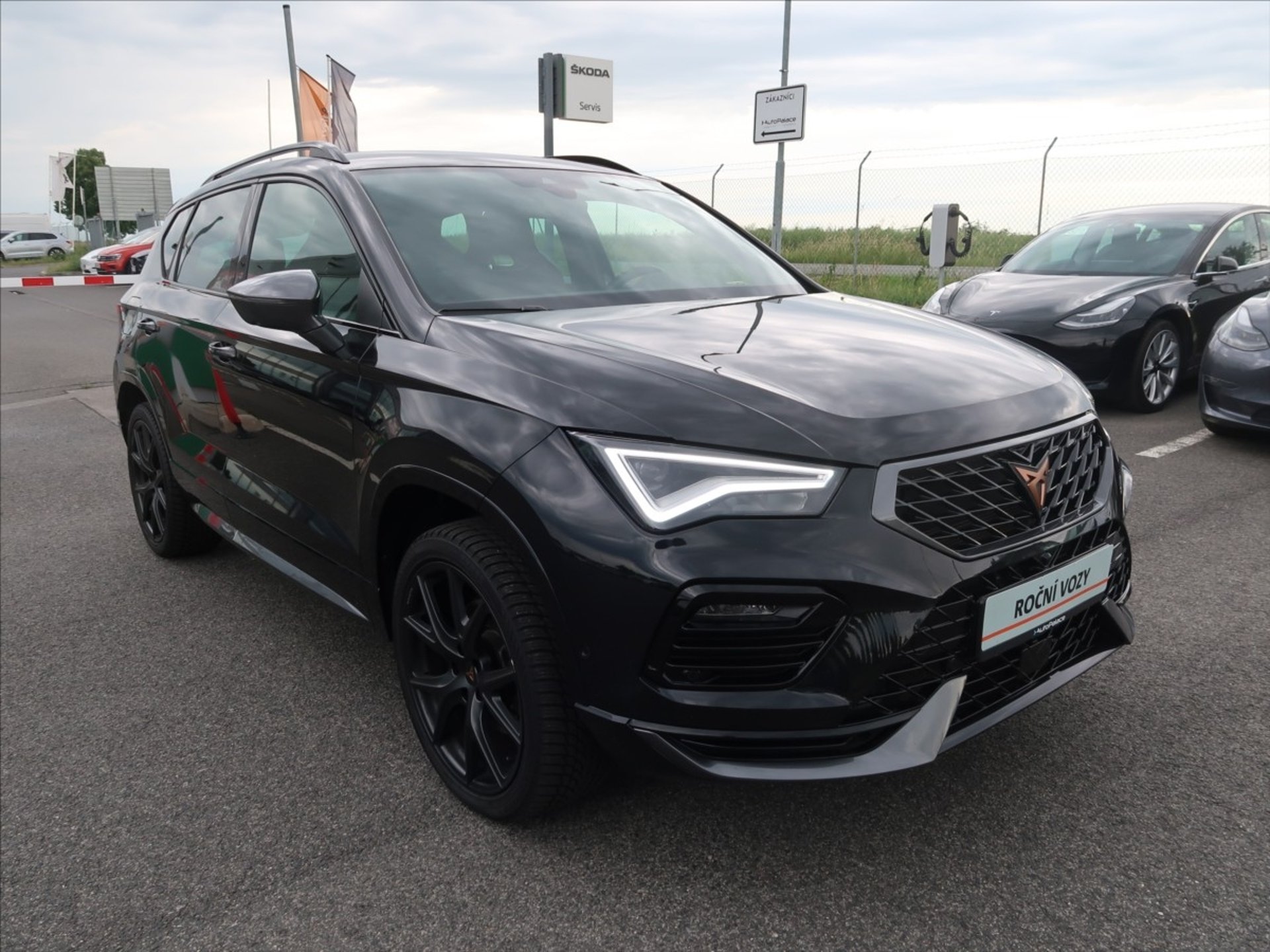 Cupra Ateca
