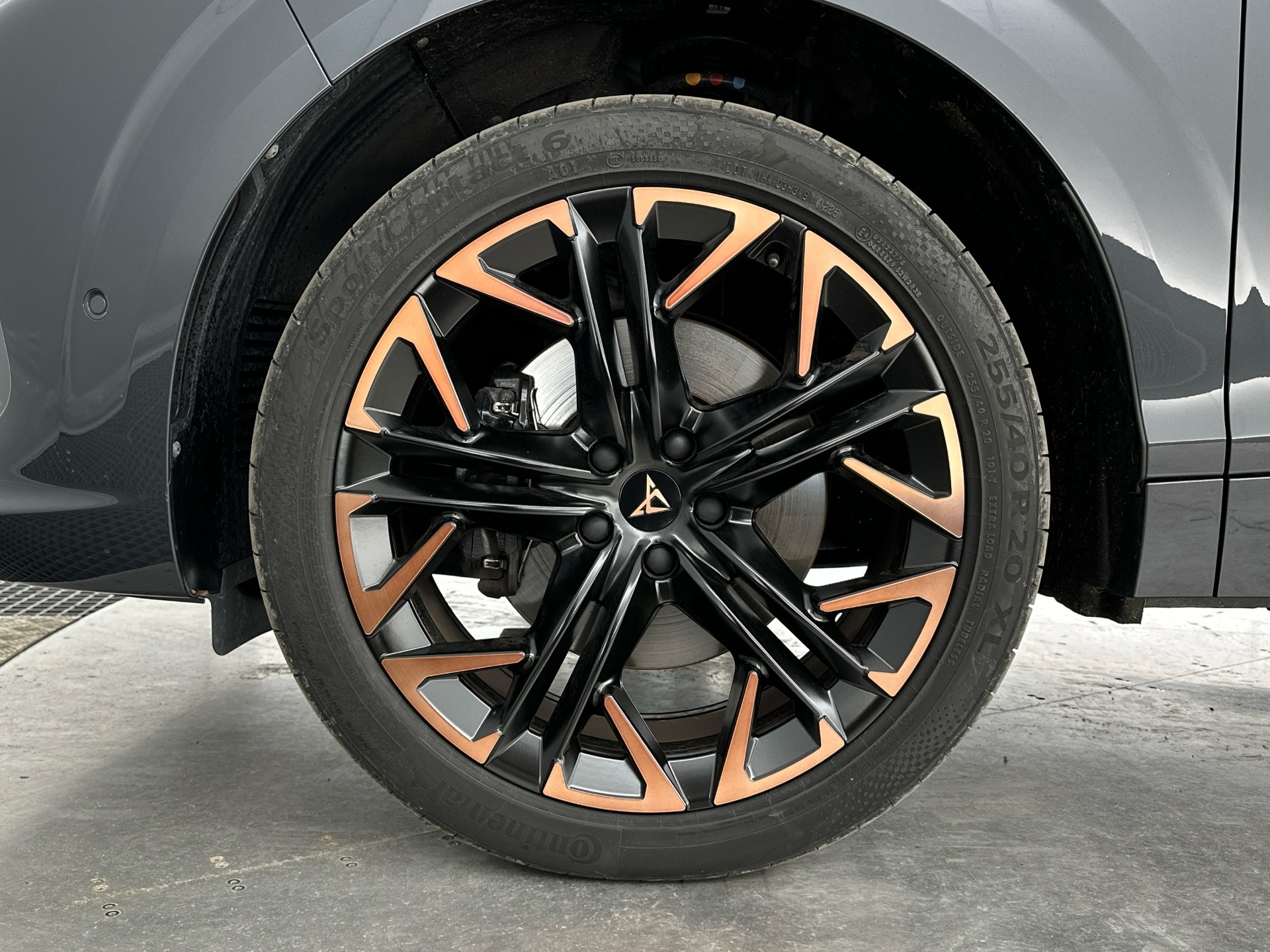 Cupra Terramar