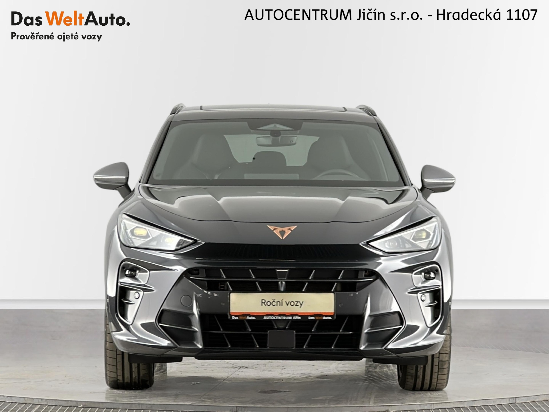 Cupra Terramar