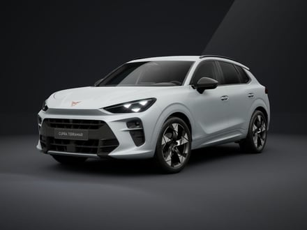 CUPRA TERRAMAR 1.5 eTSI DSG