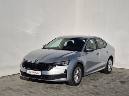 Škoda Octavia Selection 2.0 TDI DSG Fleet