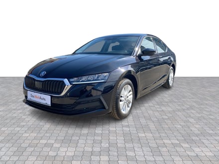 Škoda OCTAVIA Business TDI DSG