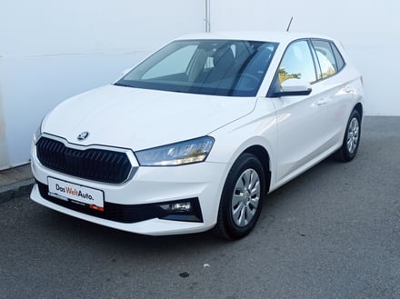 Škoda Fabia Selection 1.0 TSI Fleet